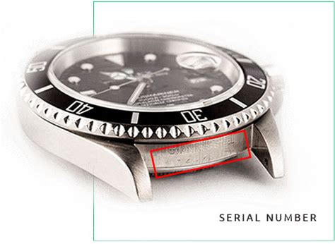 rolex dave roelvink|rolex serial number lookup.